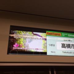 寒ブリこーたん35のトーク