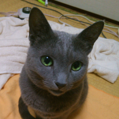 とし