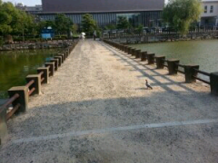 Kita Toshiのトーク