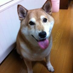 Hiro Kashin