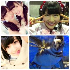 まほごん(ペンギン)のトーク