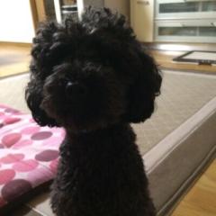 ポン酢のトーク