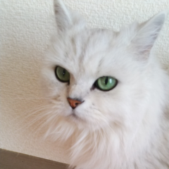 チャムミナ たかみな１位に!!