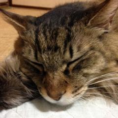 みかこのトーク