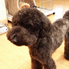 けいすけのトーク