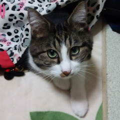 学力高くてドSな人 募集中です!!