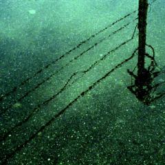 トリビアの水溜り