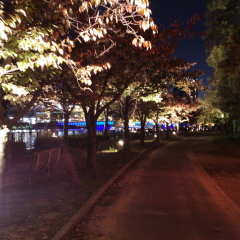 まっててコイサンマンのトーク