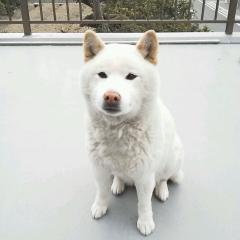 しょうたのトーク