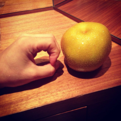 ソイヤのトーク