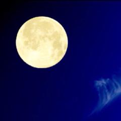 ハハハ…のトーク