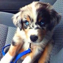 IKUmin しのリス⭐️しょた王子推し