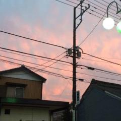 ゆう@ぬぅん猫❣No.5