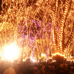 地音向井(vega89ers)ほーりー