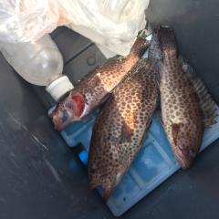 魚釣り好きはなそーーー！！！