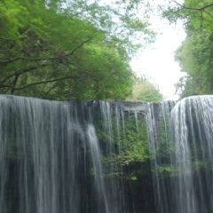 ひとりごとっ(･ω･)