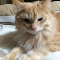 雪の助のトーク