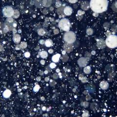 かなえ❤️성모❤️のトーク