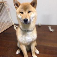 大空ヒカルのトーク