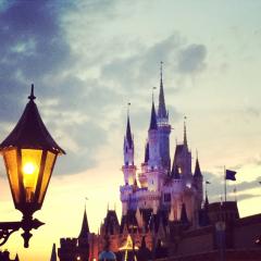 ディズニーはもはや庭だと思ってる人集合。