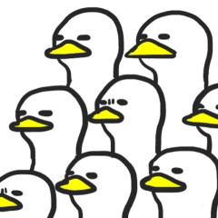 name_semi