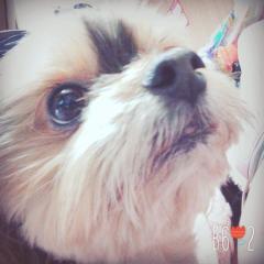 +ﾟ*｡:ﾟ+ももカナ*ೄ˚