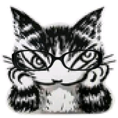 あやぱんち(RoomAyaka.MJF)