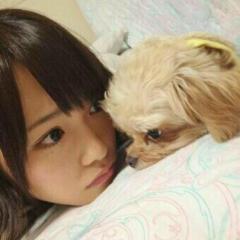 きょーごのトーク