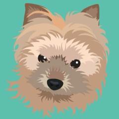 海ちゃんのお宝