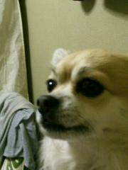 池田琢磨