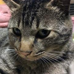 たまきのトーク