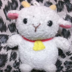 わっしょい(/ ・ω・)/