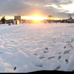 茨城住みの学生さんカモーン！