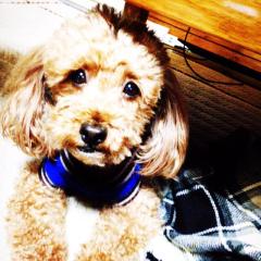 ෆ⃛Ayaneෆ⃛のトーク