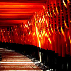 心霊、神社、宗教、陰陽教など…質問ある方どうぞ！！