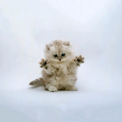 ☺ё₥ｉ☺のトーク