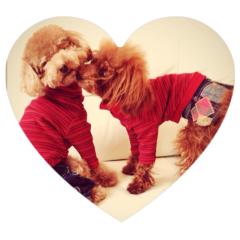 ゆいこの素揚げ