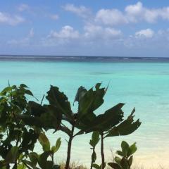 マークのトーク