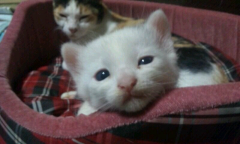 みのろ～＠みんぼ～