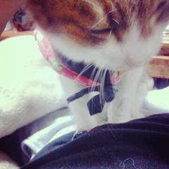 あいじまん♥deathmetal