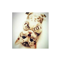 かまってください