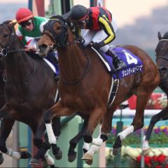 競馬予想グル！w