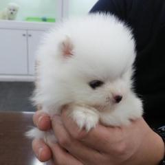 みき