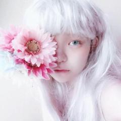 り ほ
