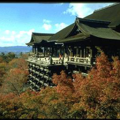 神社、縁結び、縁切り、京都の歴史、質問どうぞ！！