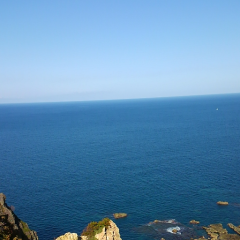 いきものがかり&コブクロ