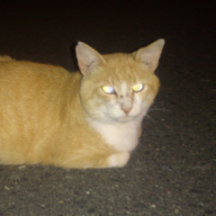 独り言～( ´∀｀)