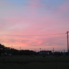 立命館大学乃木坂46同好会の部長をしてるものです