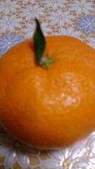 みかん
