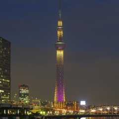 ゆうま